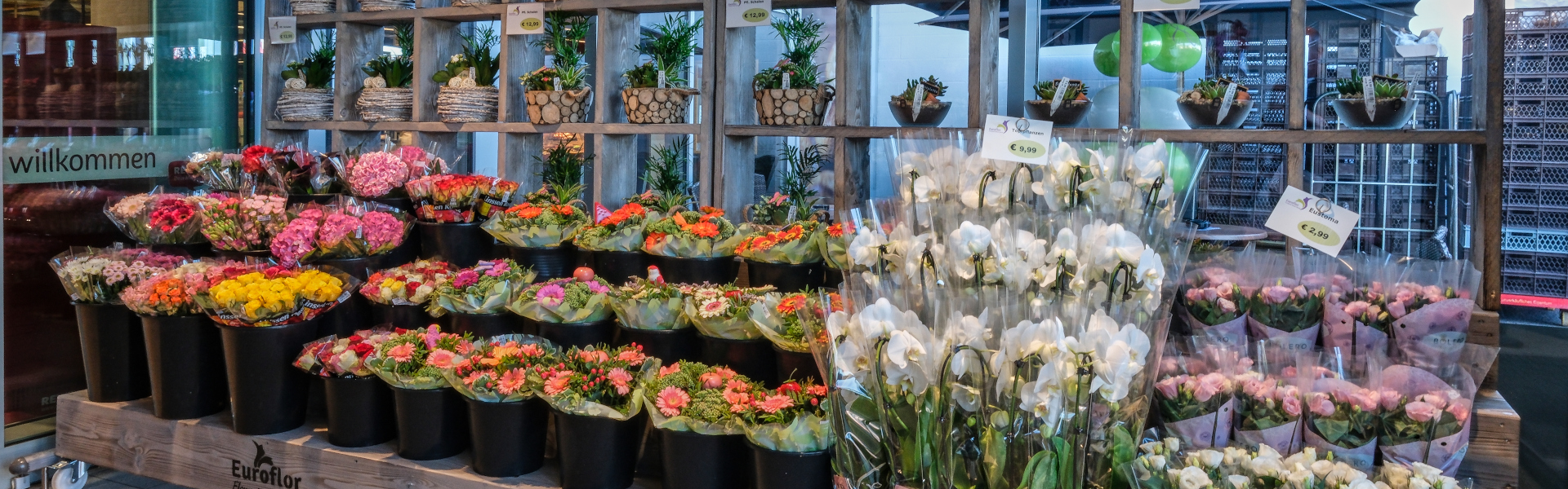 REWE Jörg Schäfer Blumen